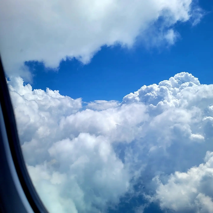 flight home
