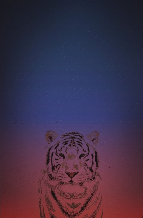 tiger