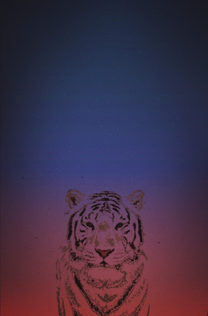 tiger