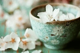 Jasmine