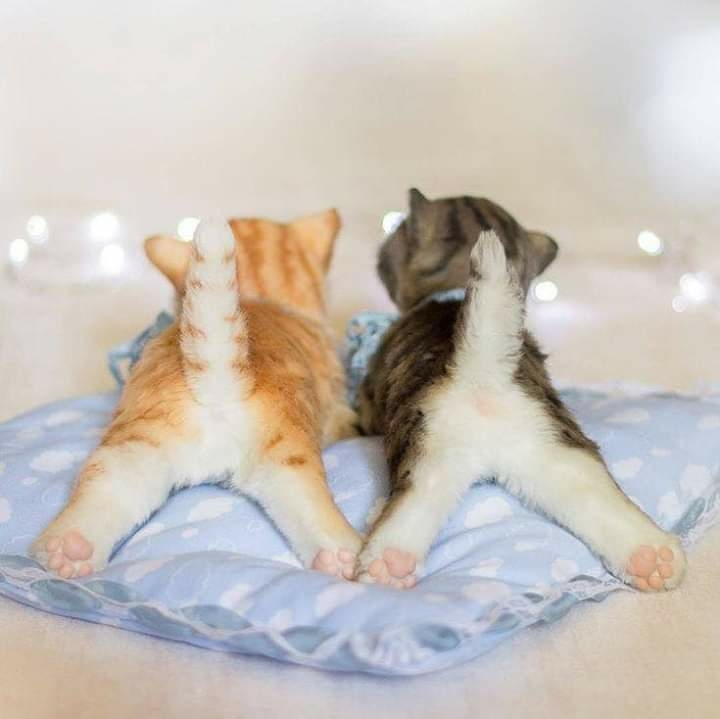 ??