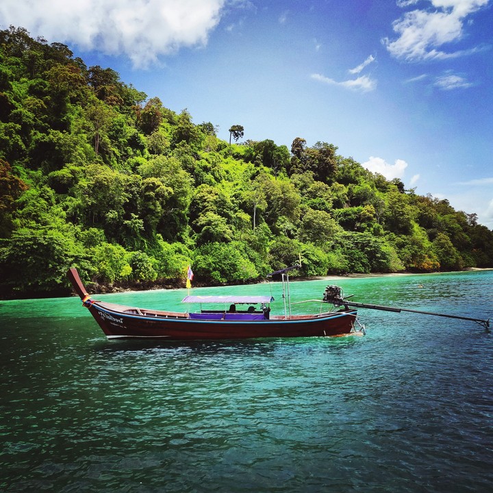 Thailand Dairies