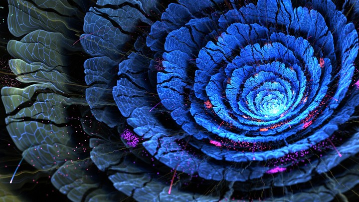 Beautiful Blue Flower