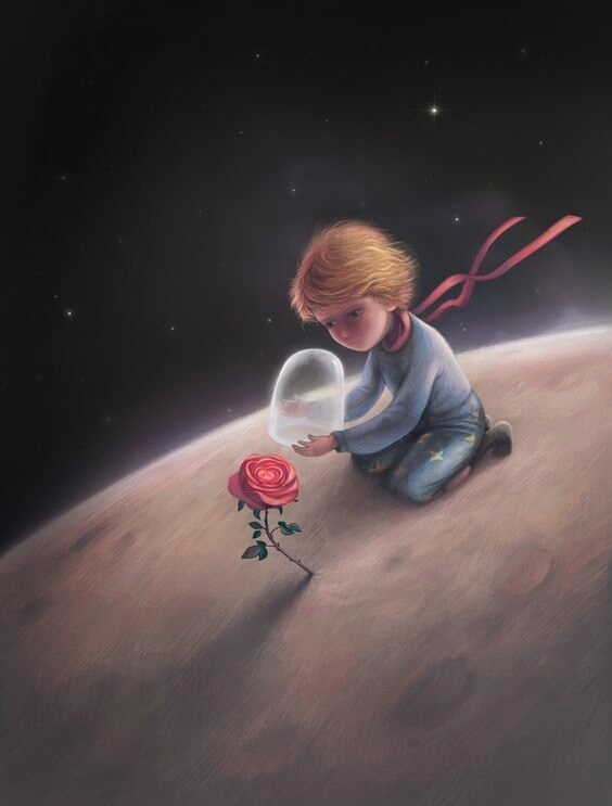 Little Prince and Roses ❤️
