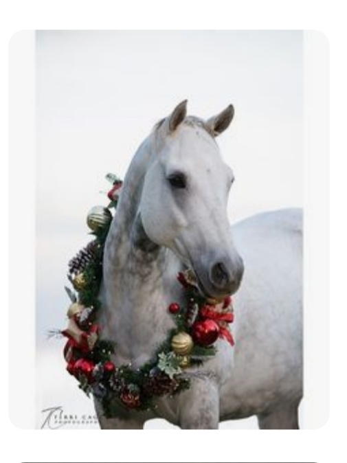 Schönen 2 Advent♡♡