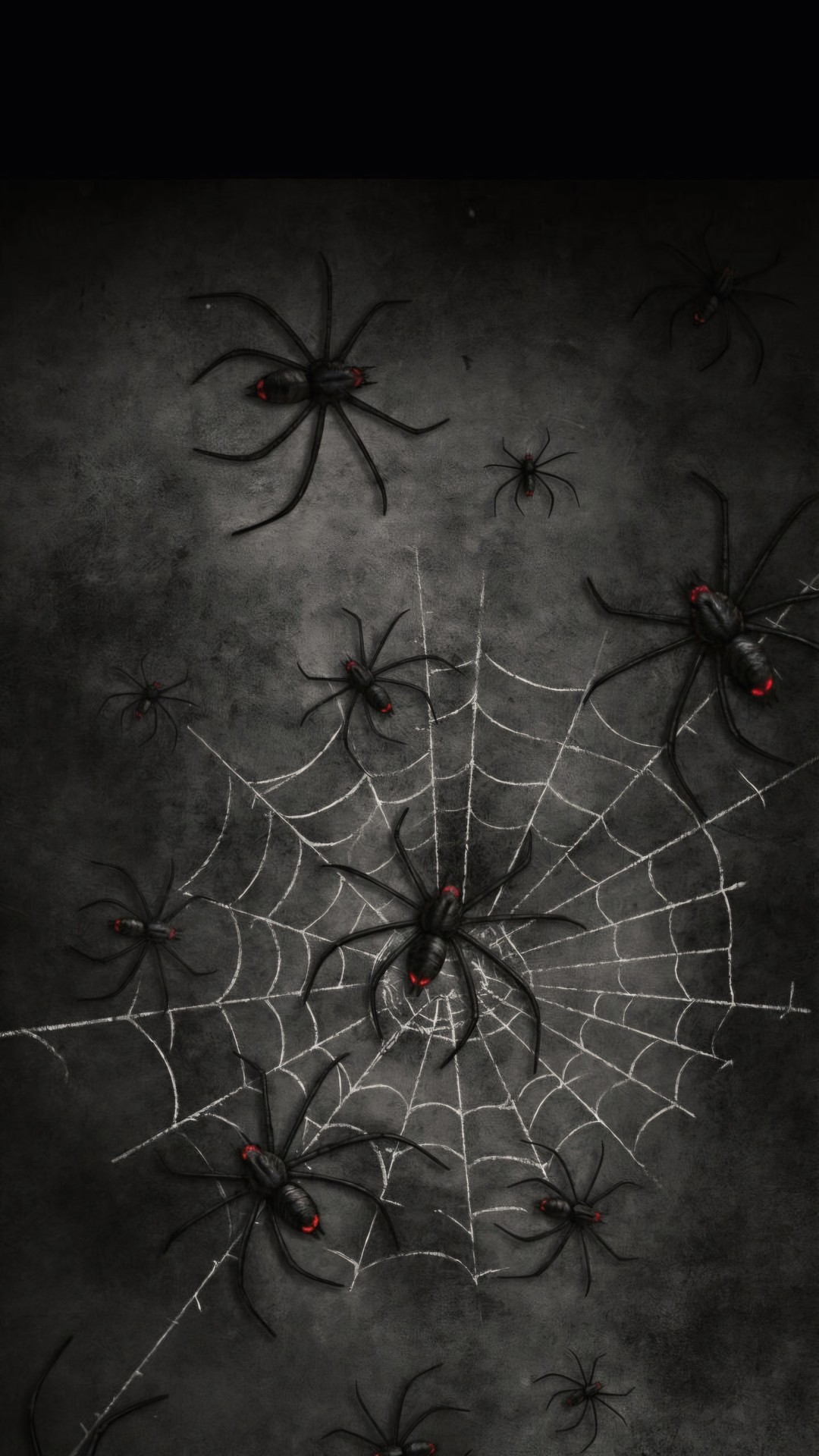 DANGEROUS SPIDERS