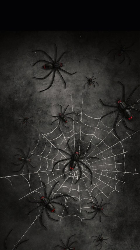 DANGEROUS SPIDERS