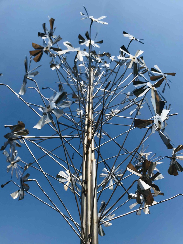 tree