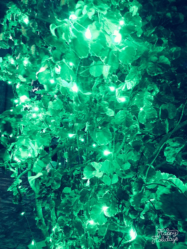 green light