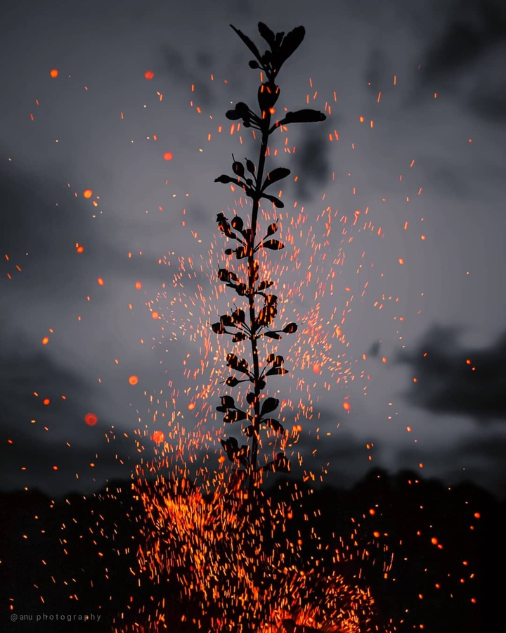 fire