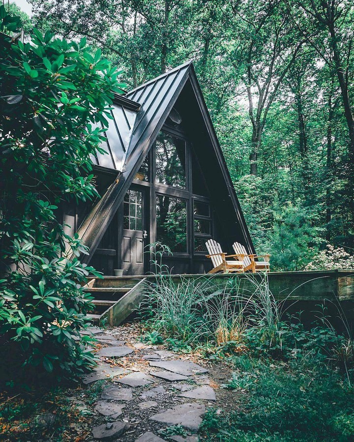 Cozy forest house.