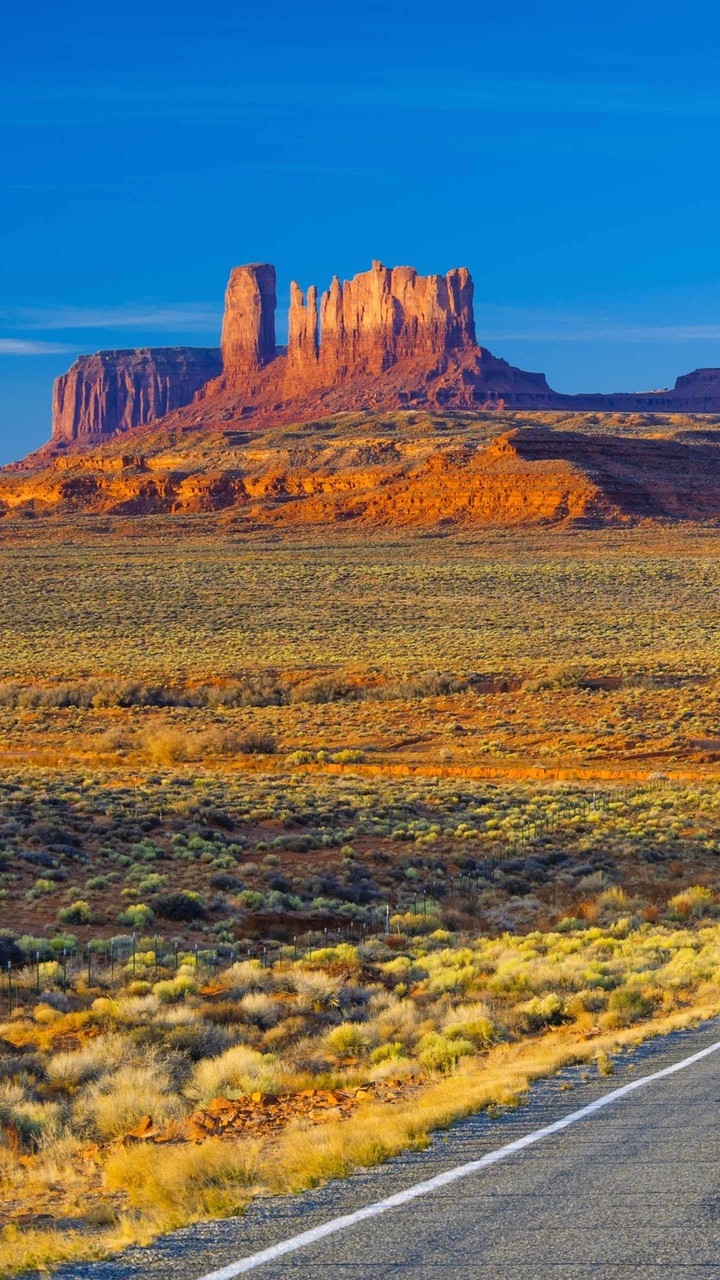 desert
