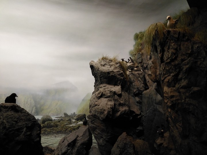 Cliff
