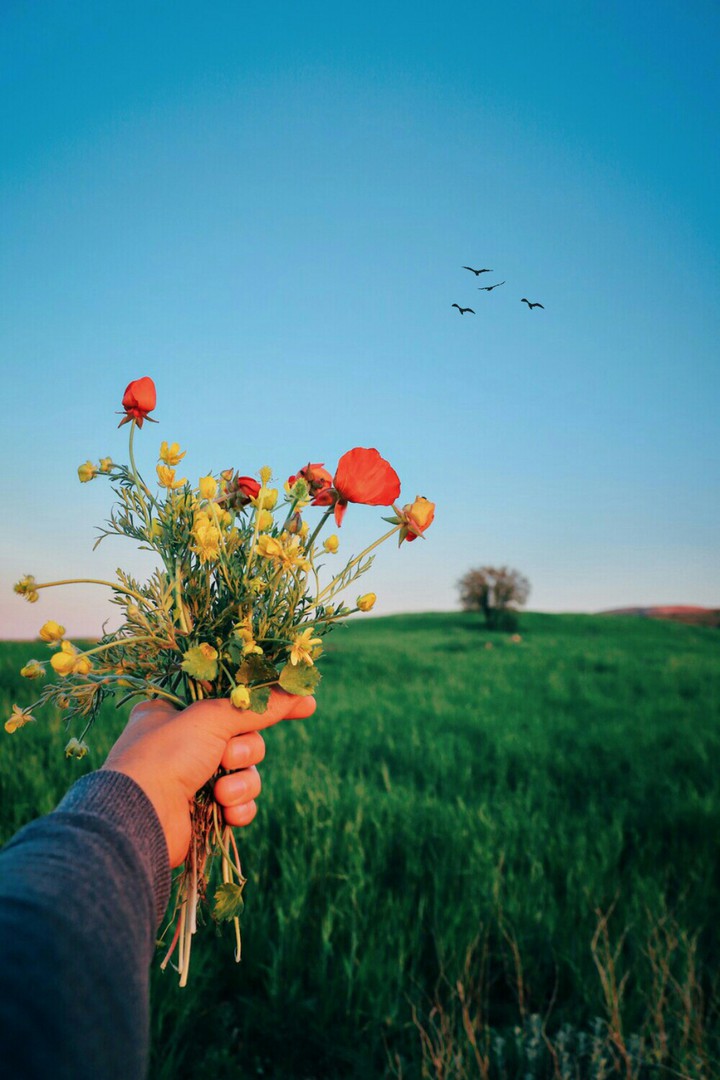 Happy Weekend To You ❤️