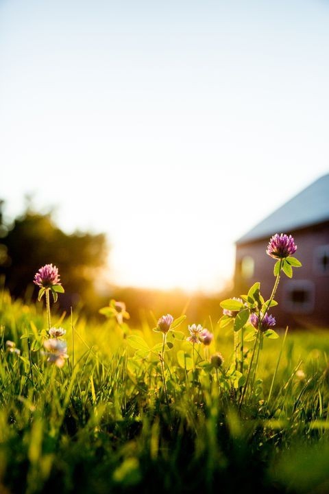 Sunny Mornin