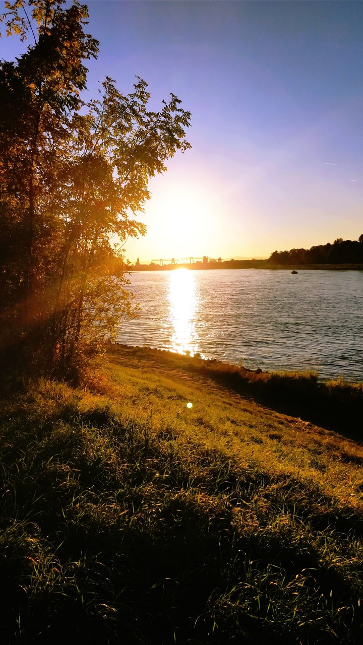 sunset at the Rhine in Germany