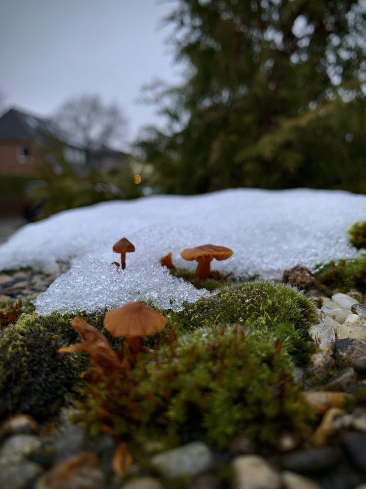 tiny world