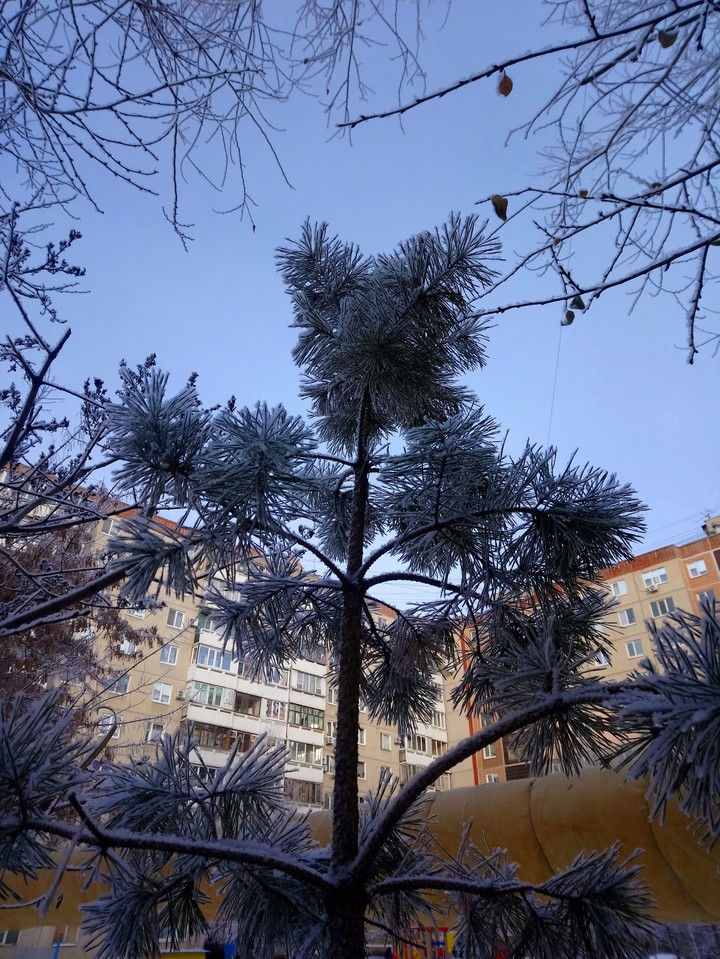 зима в городе