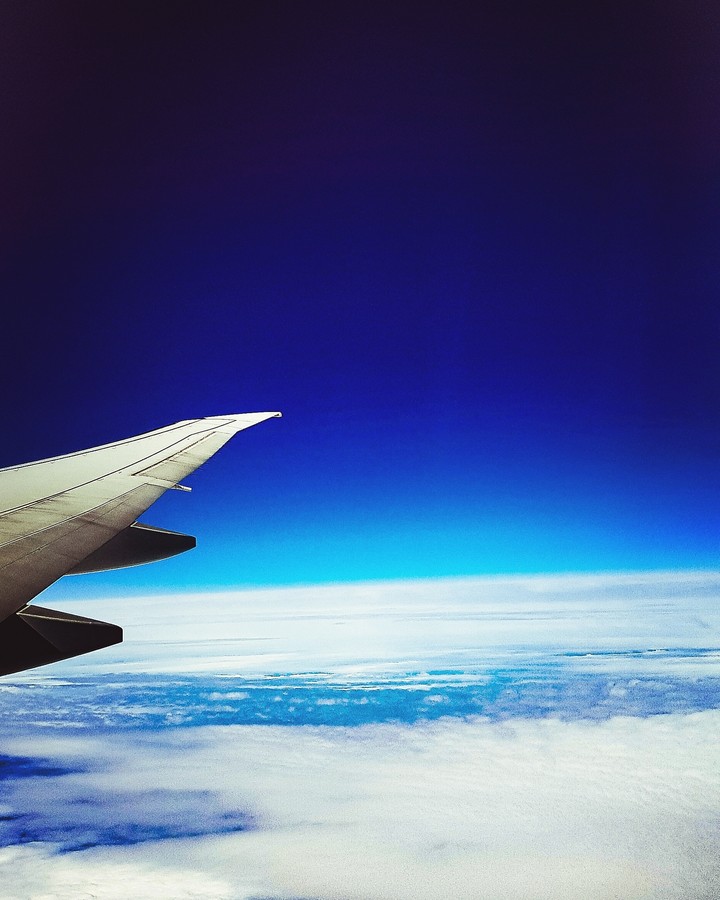 Fly