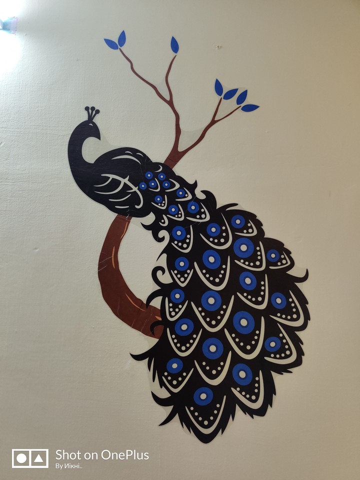 Peacock