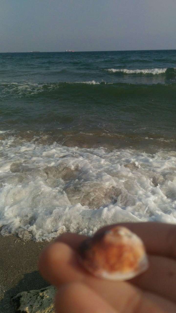 deniz