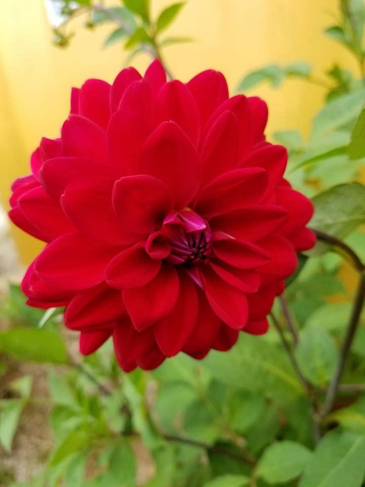 beauty