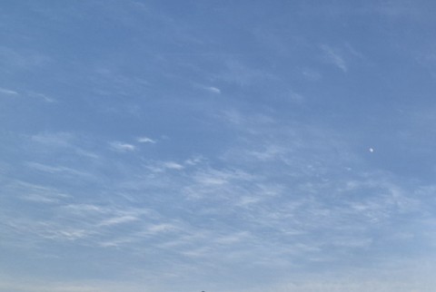 ταπετσαρίες blue, daytime