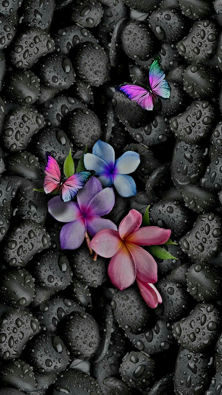 beautiful