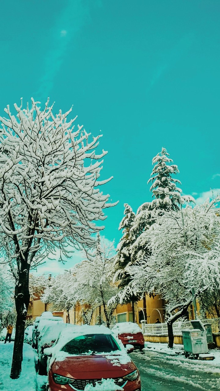winter