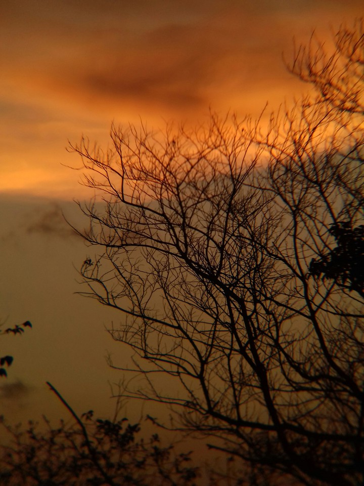 Fim de Tarde