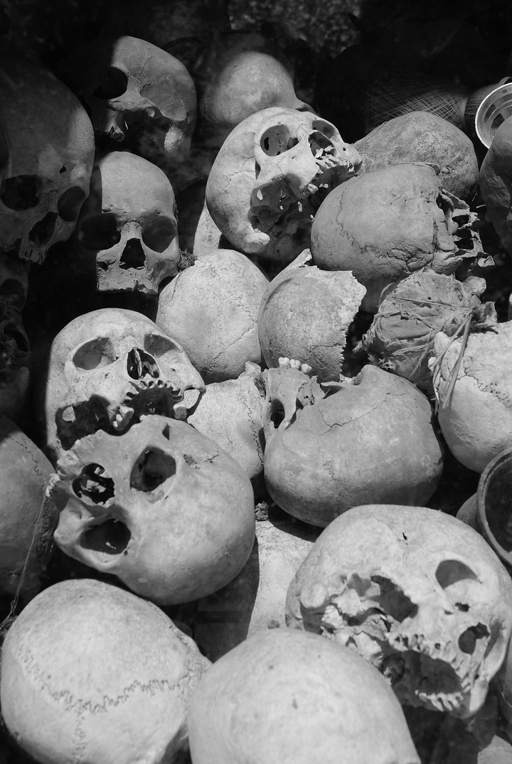 Human Skeleton