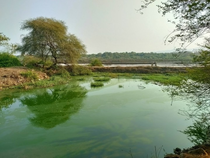 Green lake