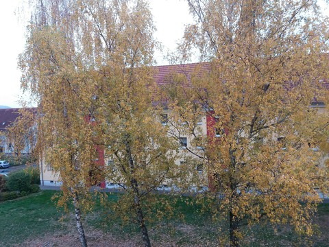 Der goldene Herbst in unserer Stadt