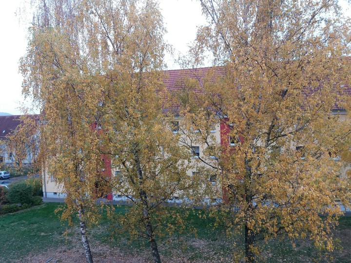 Der goldene Herbst in unserer Stadt