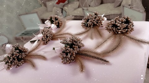 tapety plant, flower