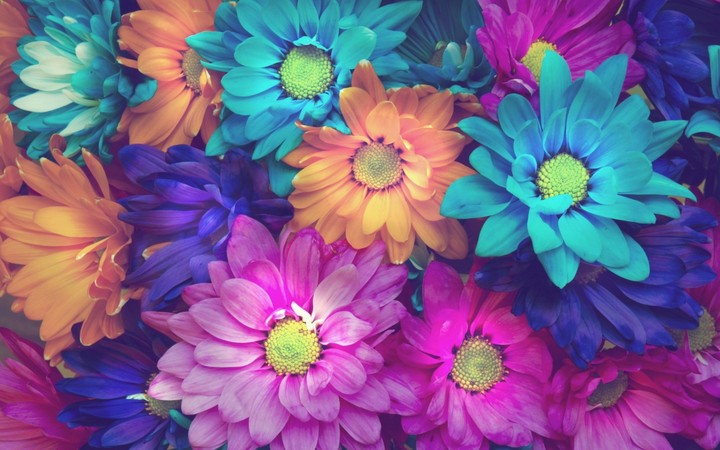 flowers...