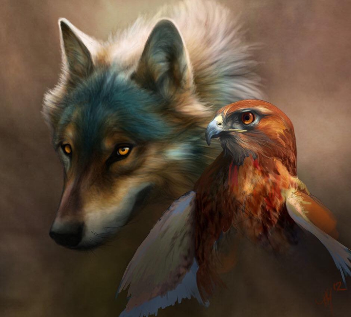 wolf