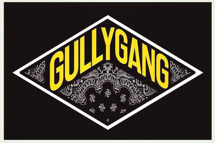 Delhi gang
