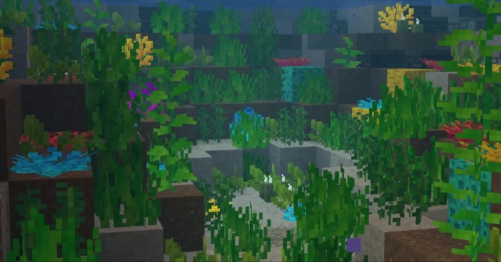 lake environment