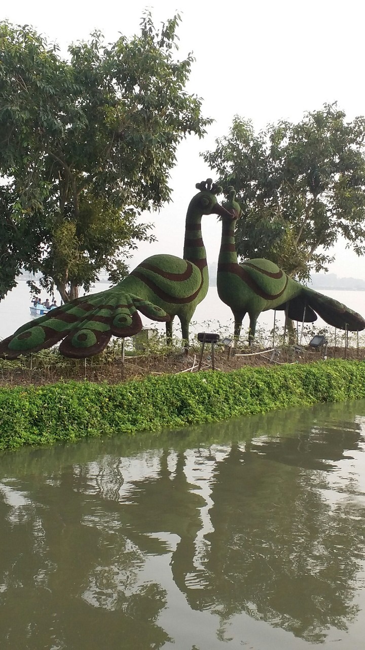 eco park