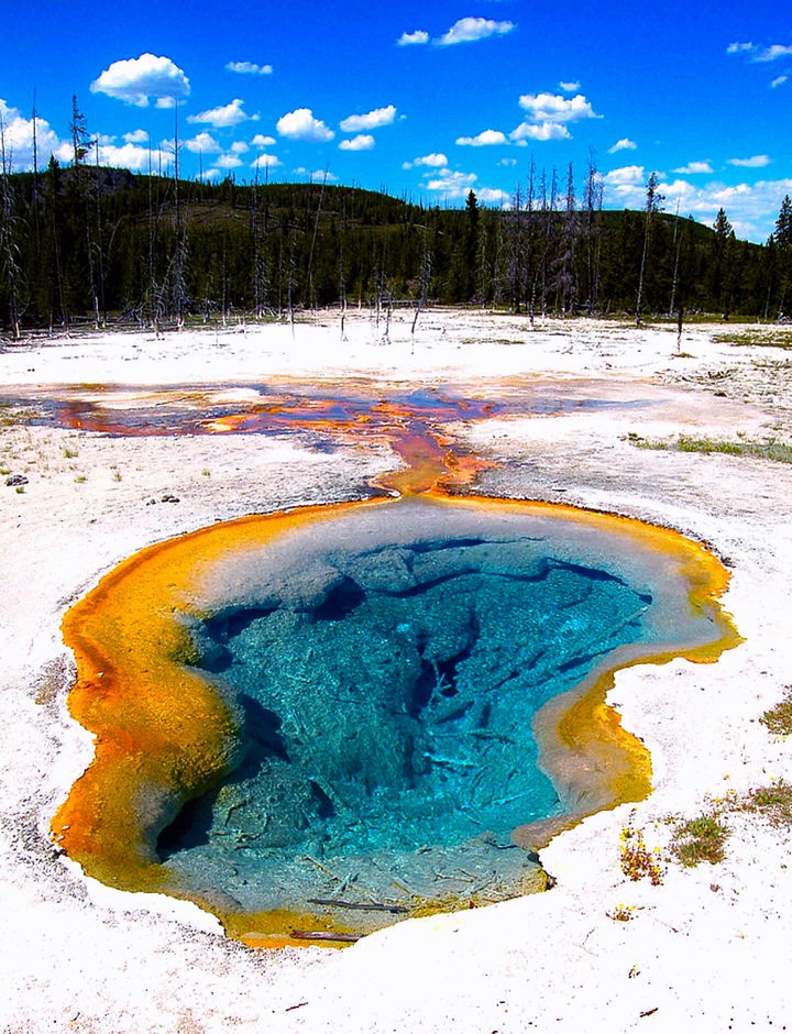 Biscuit Basin Geyser Yellowstone N P Wyoming USA