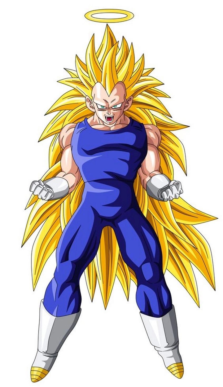 Ssj 3 vegeta