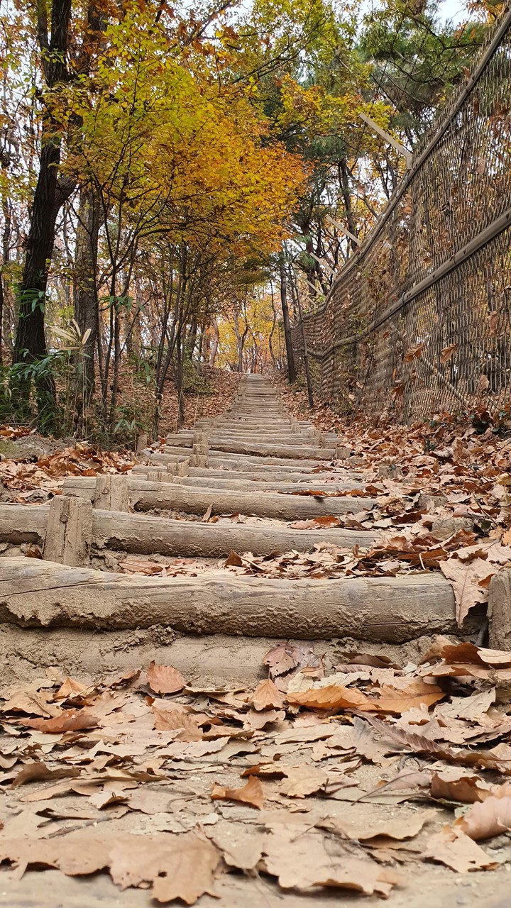 가을 Fall