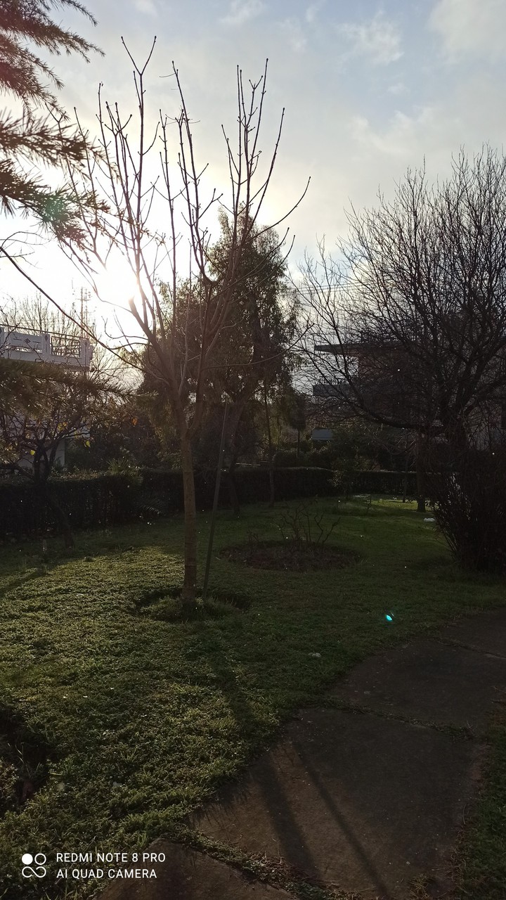 sunset in cold