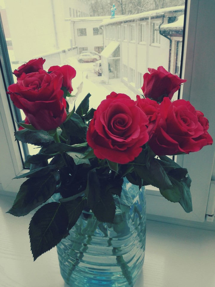 roses