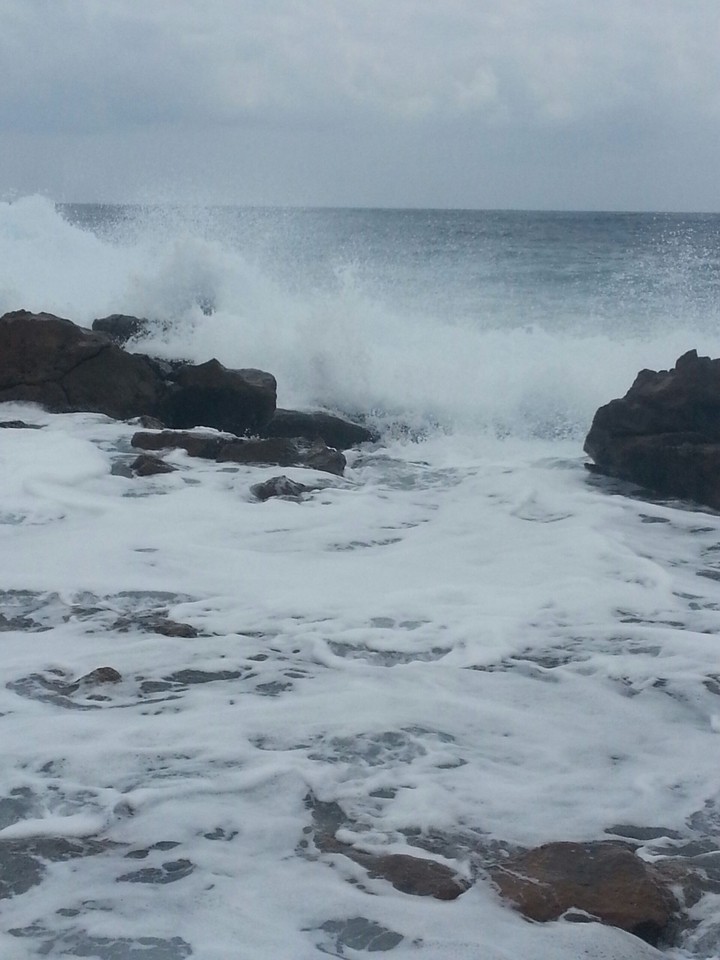 wild sea