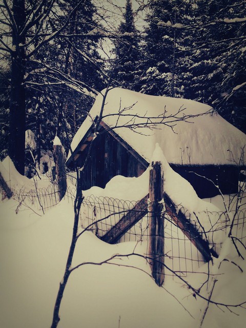Wooden Hut