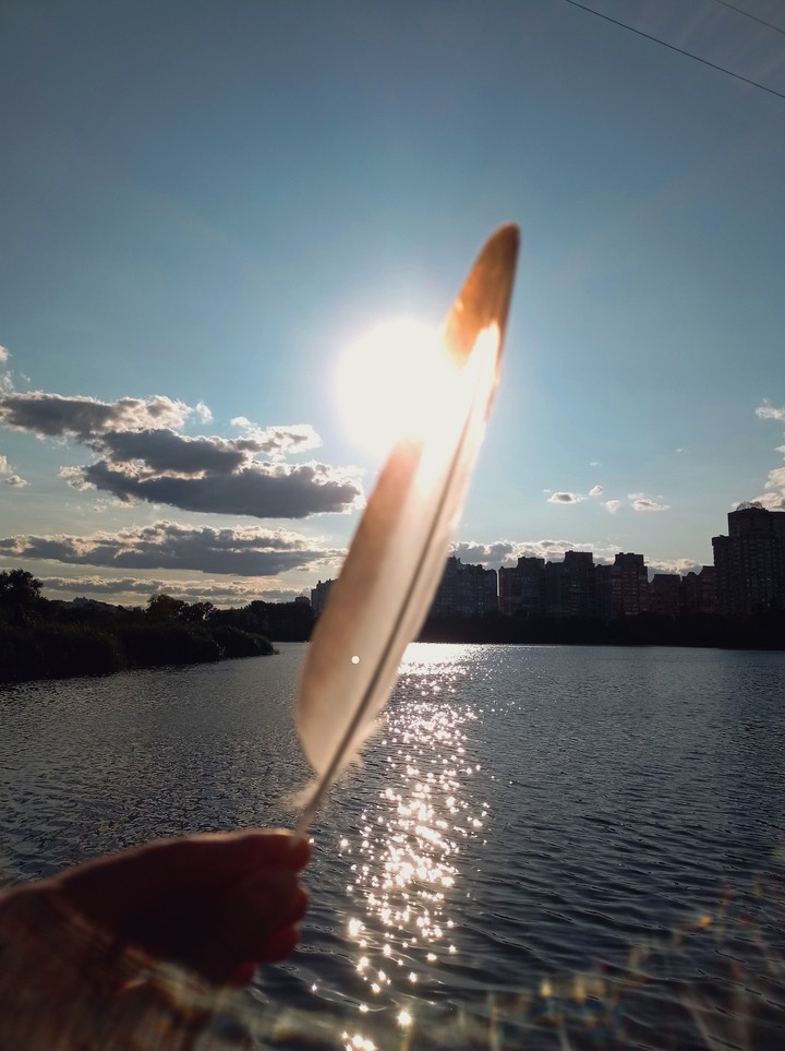 tapety sky, sunrise