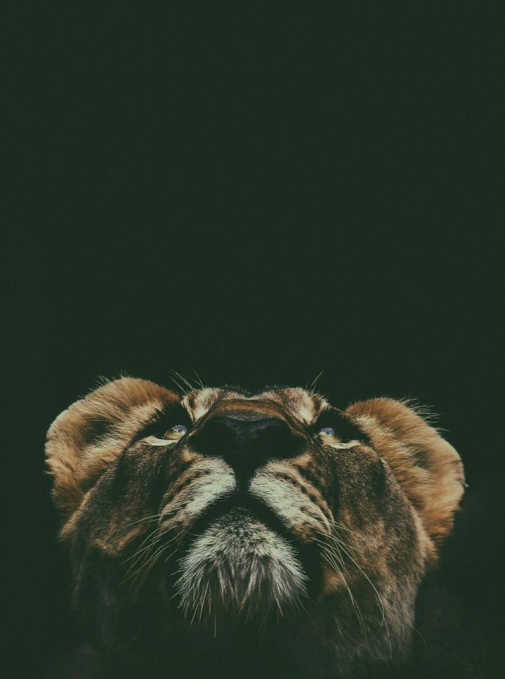 :-D