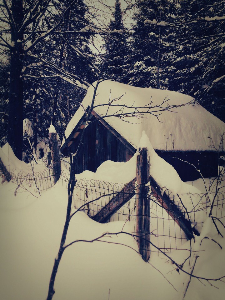 Wooden Hut